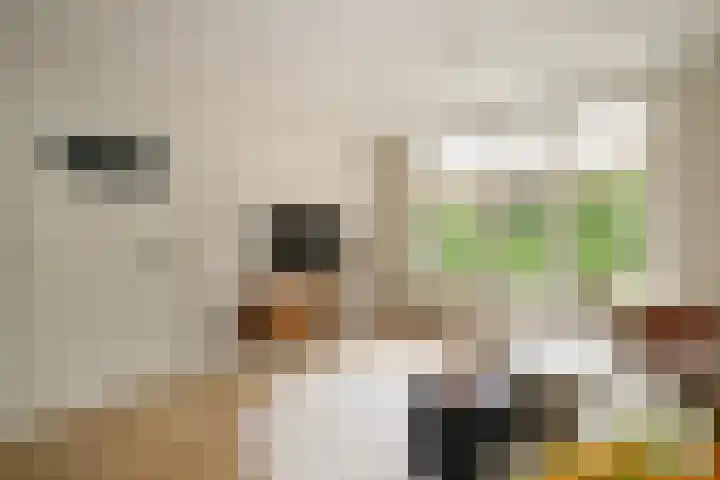Koningin Julianastraat 17 Schoonhoven thumbnail 9