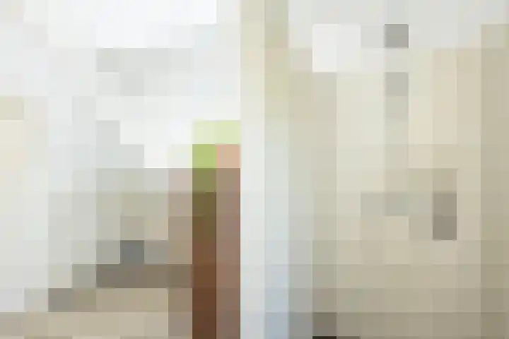 Koningin Julianastraat 18 Eibergen thumbnail 34