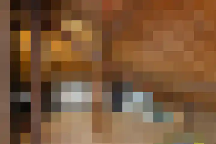 Koningin Julianastraat 18 Eibergen thumbnail 38