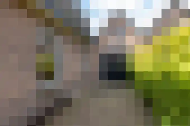 Koningin Julianastraat 18 Eibergen thumbnail 51