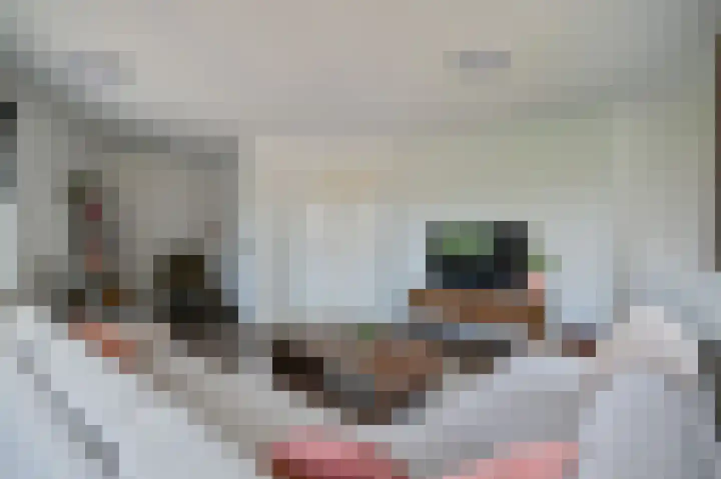 Koningin Julianastraat 18 Wilnis thumbnail 23