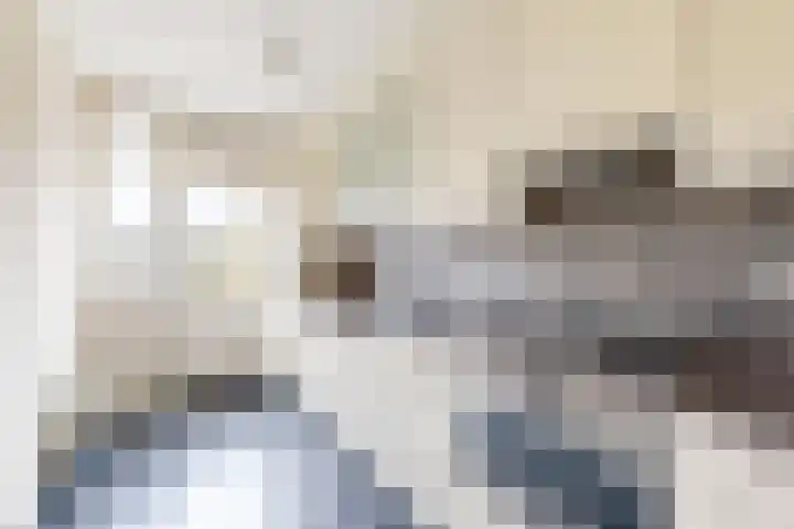 Koningin Julianastraat 19 Dinteloord thumbnail 15