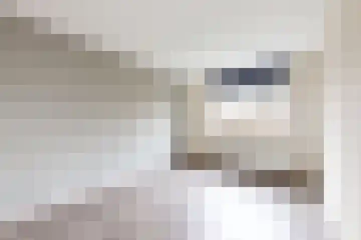 Koningin Julianastraat 19 Dinteloord thumbnail 18