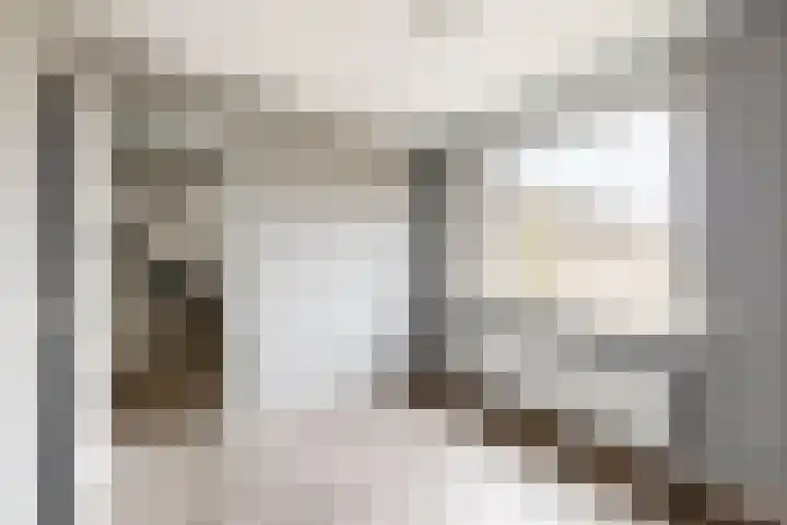 Koningin Julianastraat 19 Dinteloord thumbnail 19