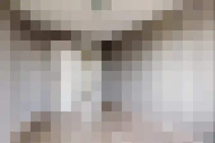 Koningin Julianastraat 19 Dinteloord thumbnail 21