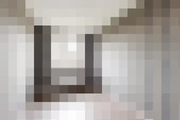 Koningin Julianastraat 19 Dinteloord thumbnail 22
