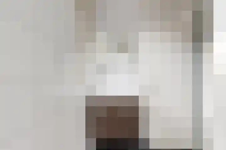 Koningin Julianastraat 19 Dinteloord thumbnail 24