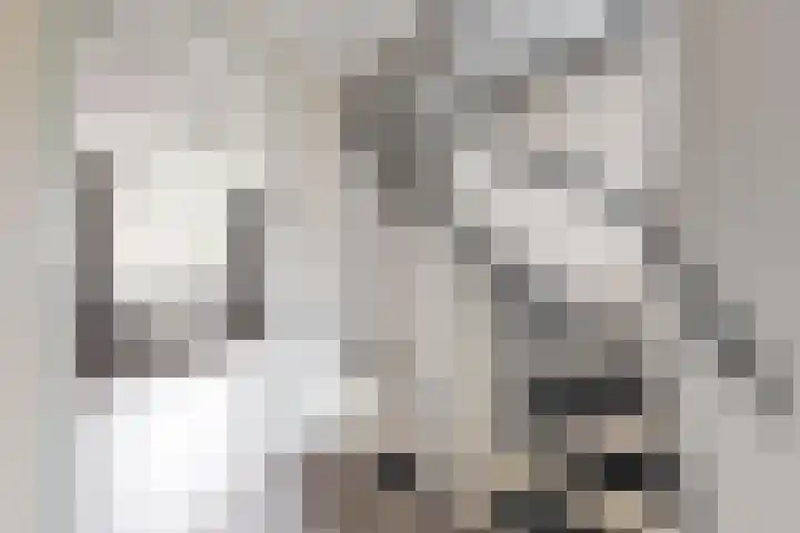 Koningin Julianastraat 19 Dinteloord thumbnail 26