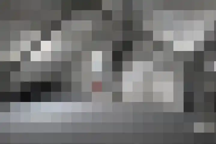 Koningin Julianastraat 19 Dinteloord thumbnail 28