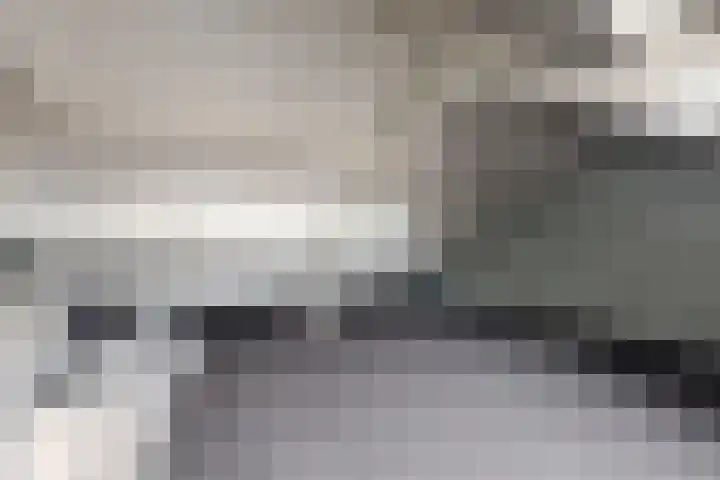 Koningin Julianastraat 19 Dinteloord thumbnail 30