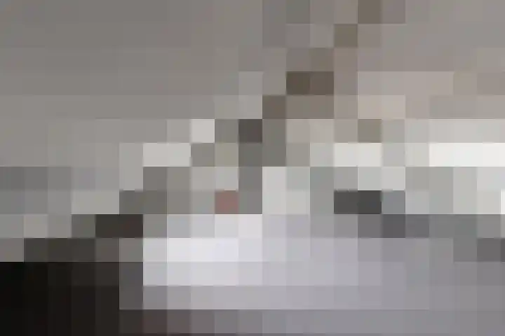 Koningin Julianastraat 19 Dinteloord thumbnail 32