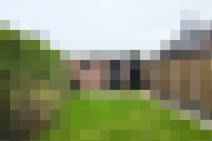 Koningin Julianastraat 19 Dinteloord thumbnail 33