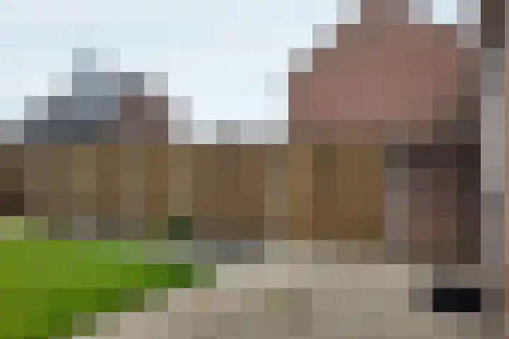 Koningin Julianastraat 19 Dinteloord thumbnail 35