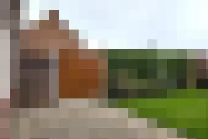 Koningin Julianastraat 19 Dinteloord thumbnail 36