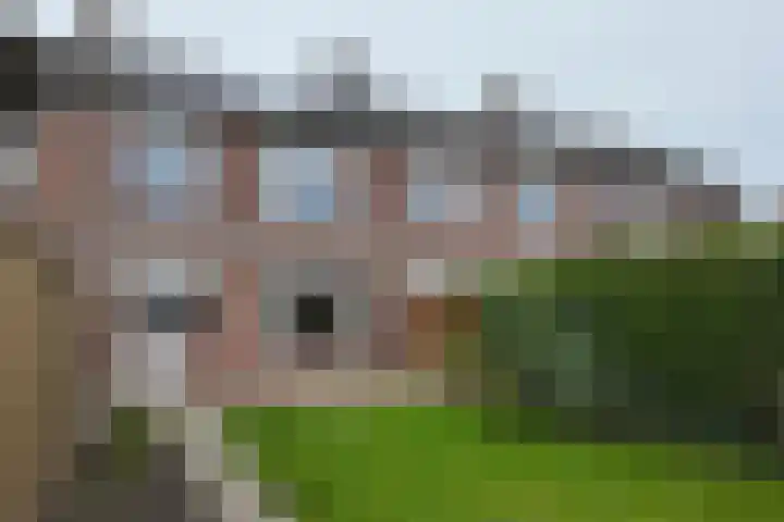 Koningin Julianastraat 19 Dinteloord thumbnail 37