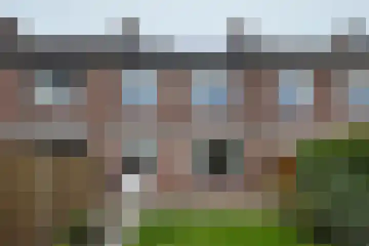 Koningin Julianastraat 19 Dinteloord thumbnail 38