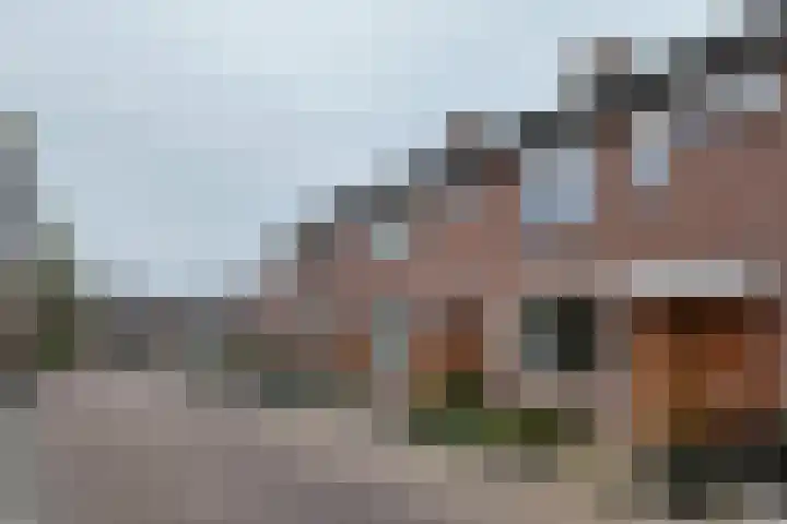 Koningin Julianastraat 19 Dinteloord thumbnail 41
