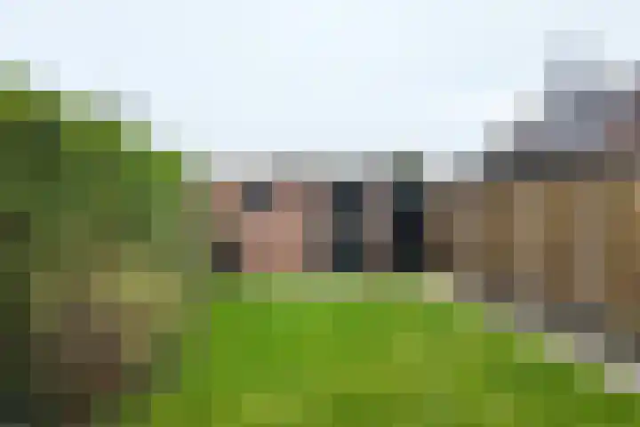 Koningin Julianastraat 19 Dinteloord thumbnail 6