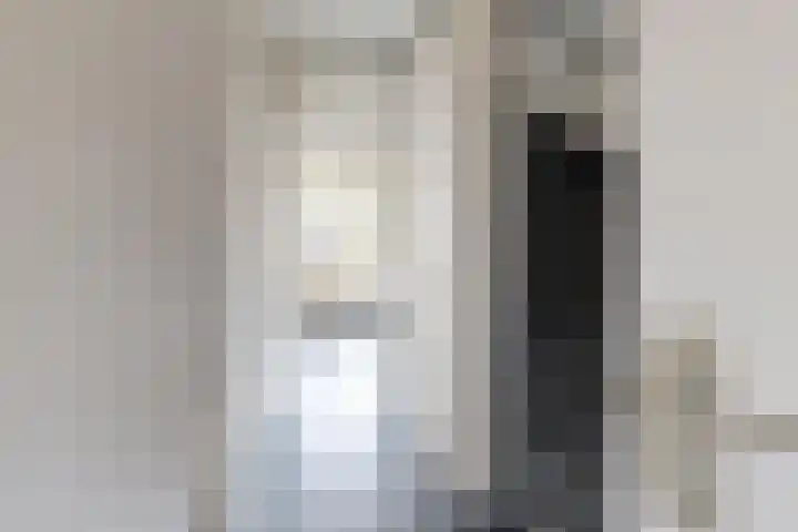 Koningin Julianastraat 19 Dinteloord thumbnail 7