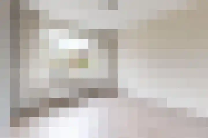 Koningin Julianastraat 19 Dinteloord thumbnail 8