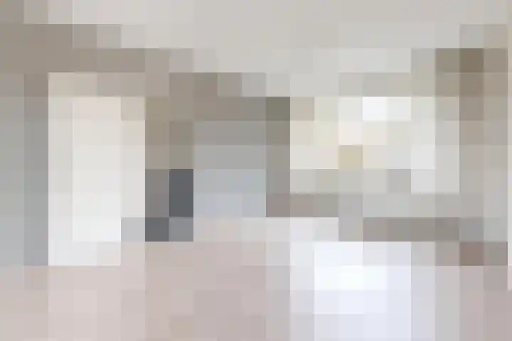 Koningin Julianastraat 19 Dinteloord thumbnail 9