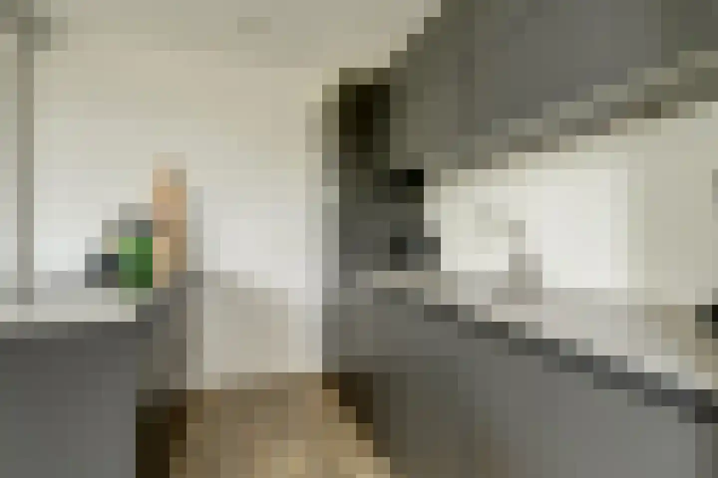 Koningin Julianastraat 2 Meerkerk thumbnail 11