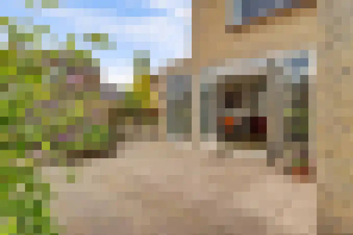 Koningin Julianastraat 2 Meerkerk thumbnail 38
