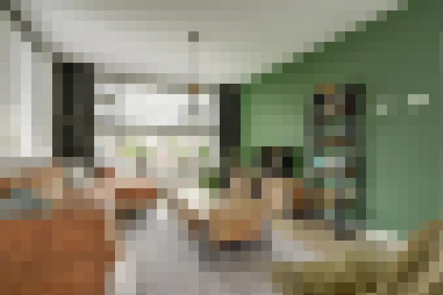 Koningin Julianastraat 2 Meerkerk thumbnail 6