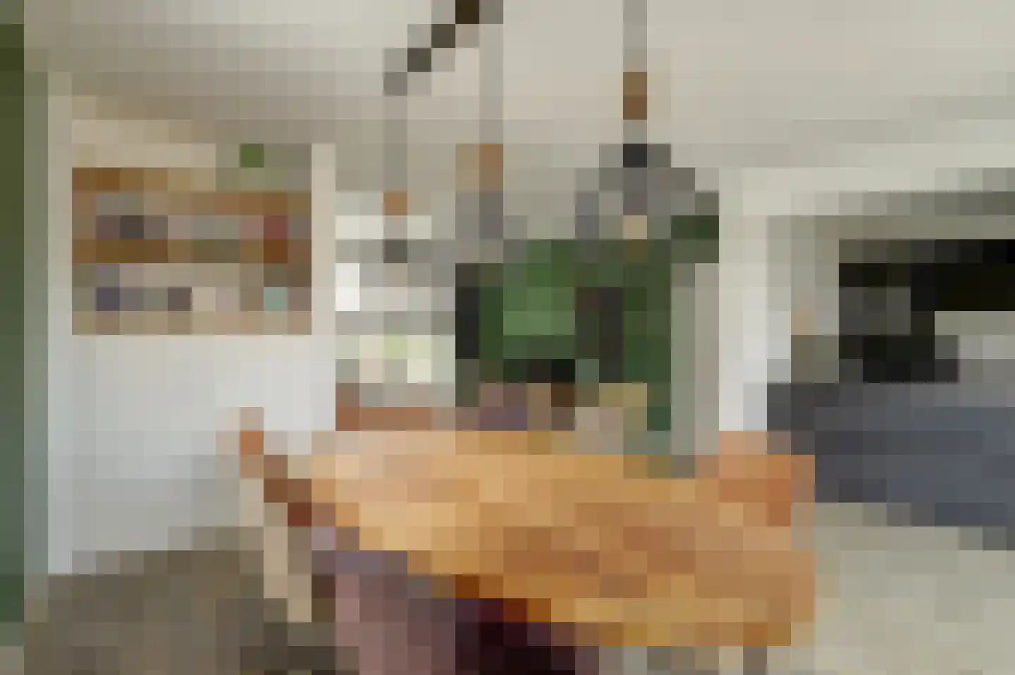 Koningin Julianastraat 2 Meerkerk thumbnail 9