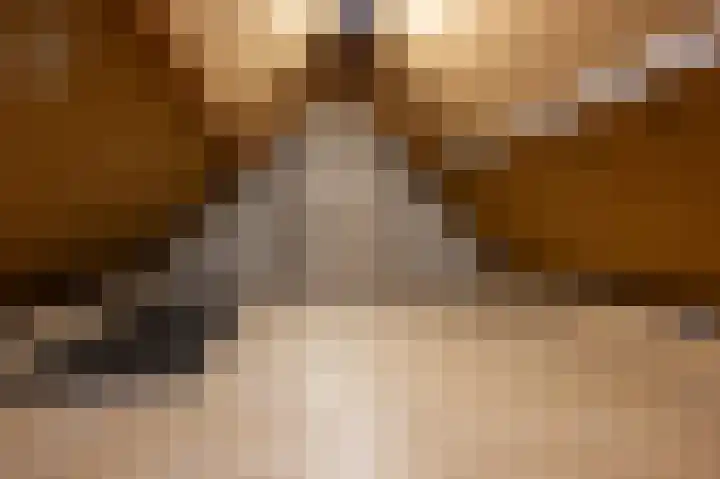 Koningin Julianastraat 2 Nieuwe-Tonge thumbnail 19