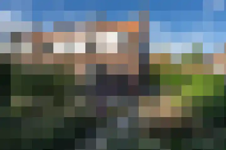 Koningin Julianastraat 2 Nieuwe-Tonge thumbnail 6