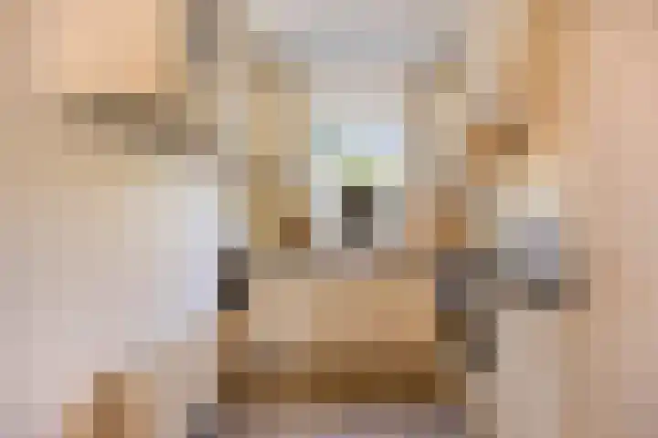 Koningin Julianastraat 20 Berkenwoude thumbnail 11
