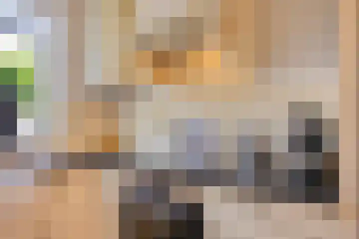 Koningin Julianastraat 20 Berkenwoude thumbnail 12
