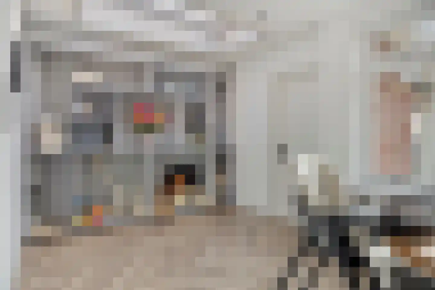 Koningin Julianastraat 20 Hoofdplaat thumbnail 10