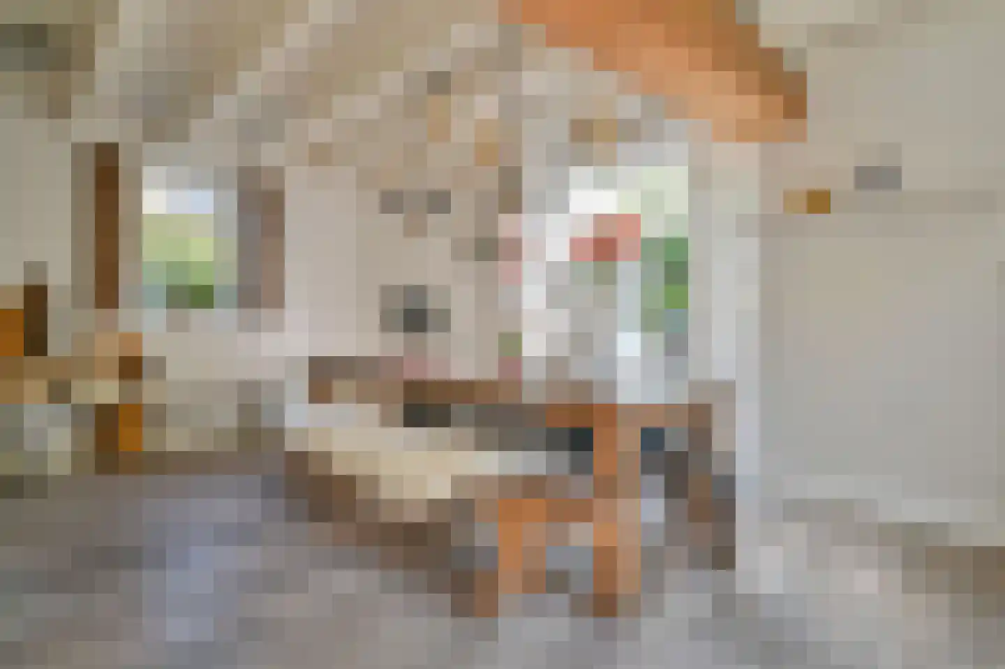 Koningin Julianastraat 20 Huizen thumbnail 20