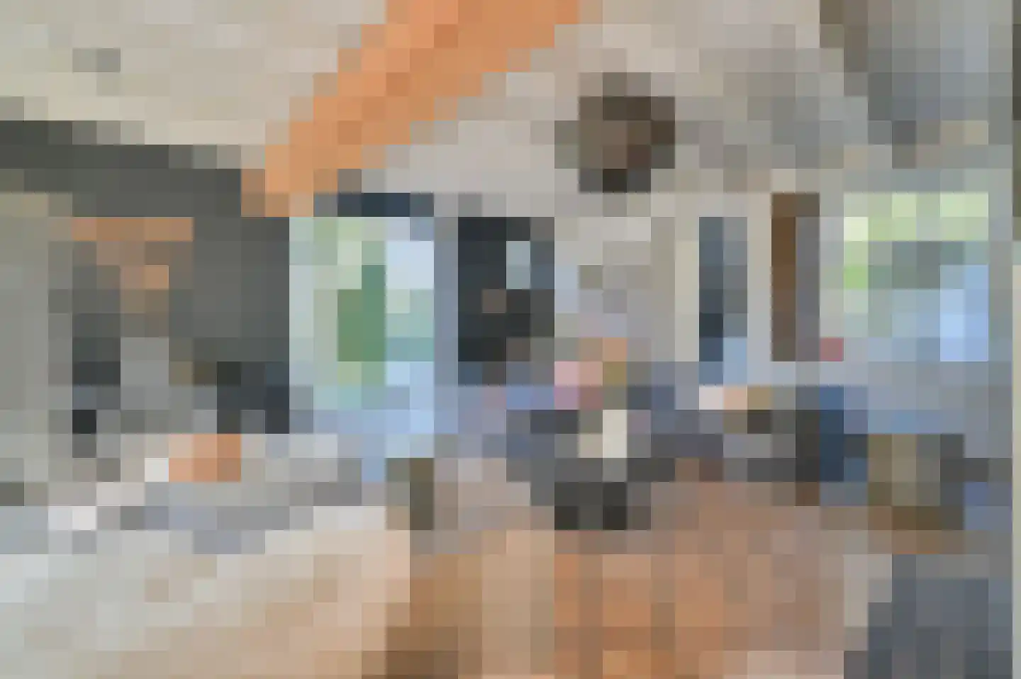 Koningin Julianastraat 20 Huizen thumbnail 31