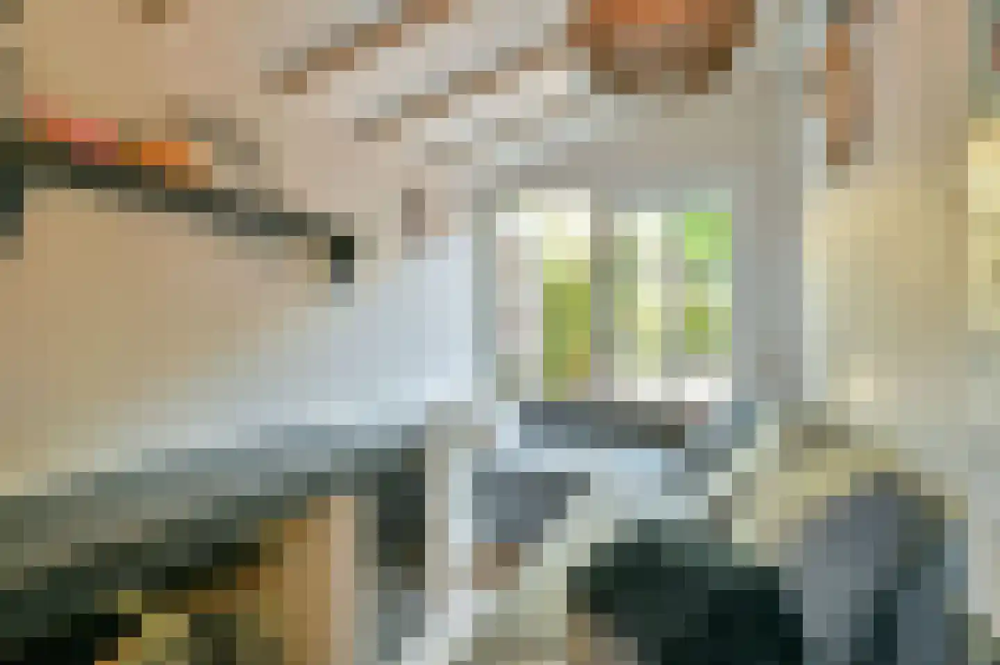 Koningin Julianastraat 20 Huizen thumbnail 36