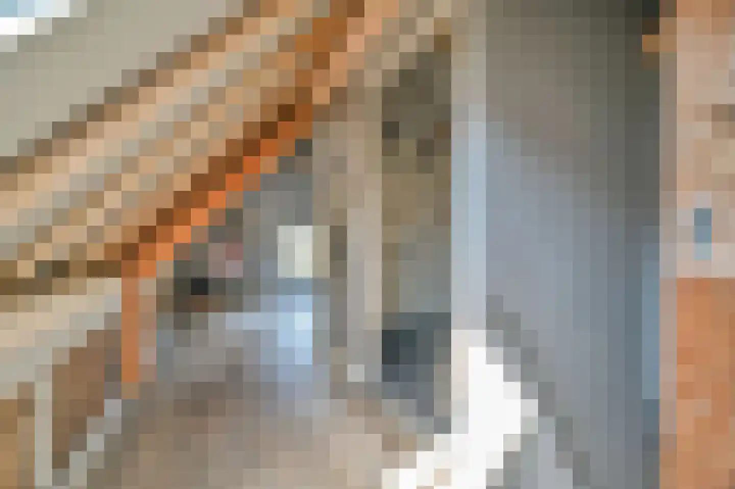 Koningin Julianastraat 20 Huizen thumbnail 40