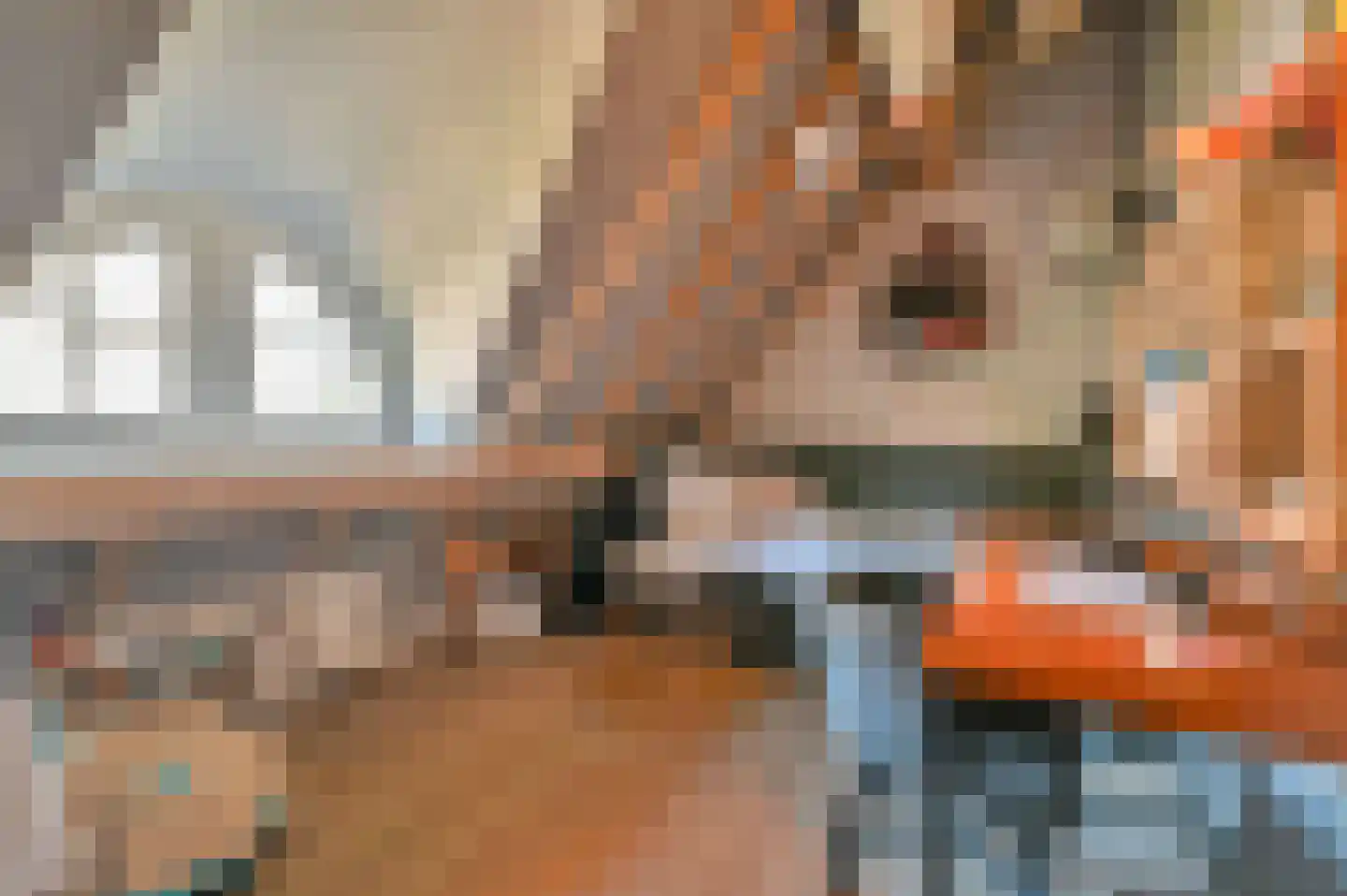 Koningin Julianastraat 20 Huizen thumbnail 44