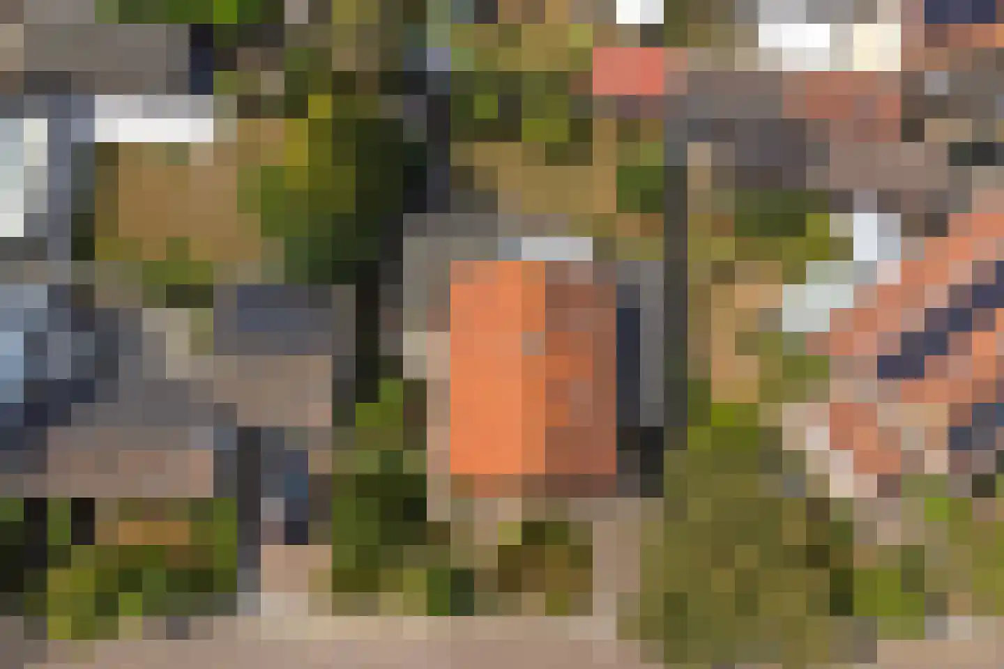 Koningin Julianastraat 20 Kloetinge thumbnail 35