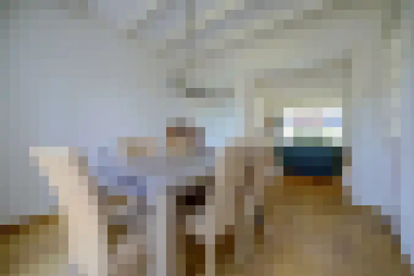 Koningin Julianastraat 20 Kloetinge thumbnail 7
