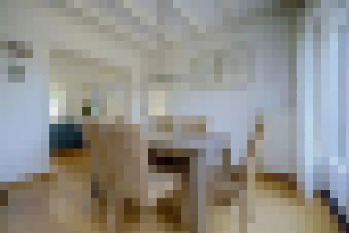Koningin Julianastraat 20 Kloetinge thumbnail 8