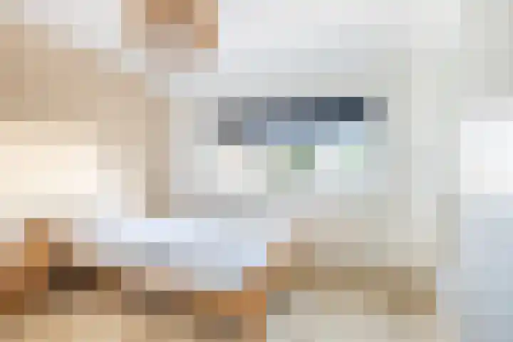 Koningin Julianastraat 20 Piershil thumbnail 11