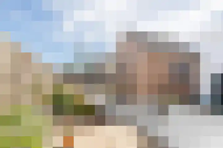 Koningin Julianastraat 20 Piershil thumbnail 20