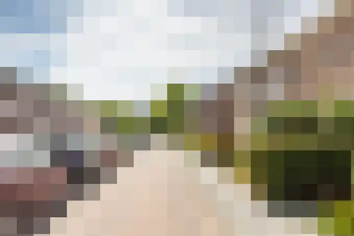 Koningin Julianastraat 20 Piershil thumbnail 23