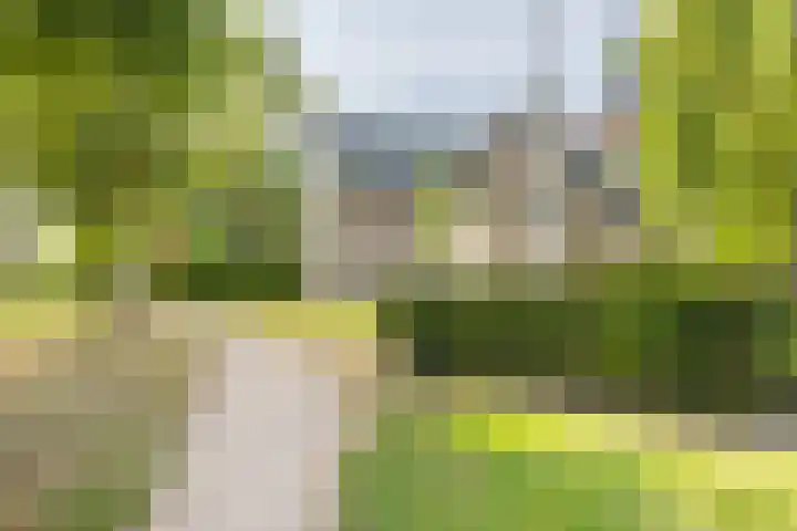 Koningin Julianastraat 20 Piershil thumbnail 25