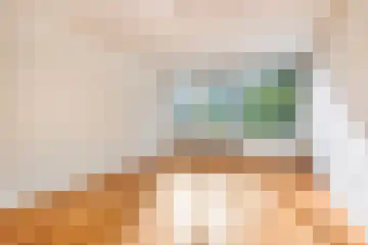 Koningin Julianastraat 204 Deventer thumbnail 10