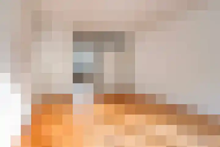Koningin Julianastraat 204 Deventer thumbnail 13