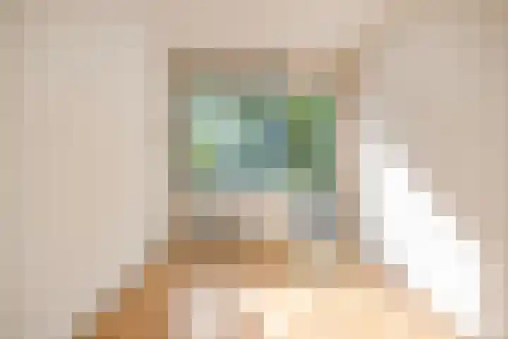 Koningin Julianastraat 204 Deventer thumbnail 18