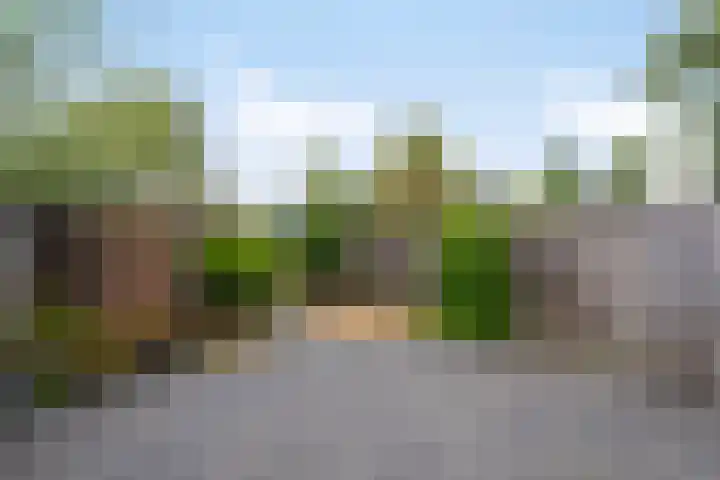 Koningin Julianastraat 21 Middelburg thumbnail 22